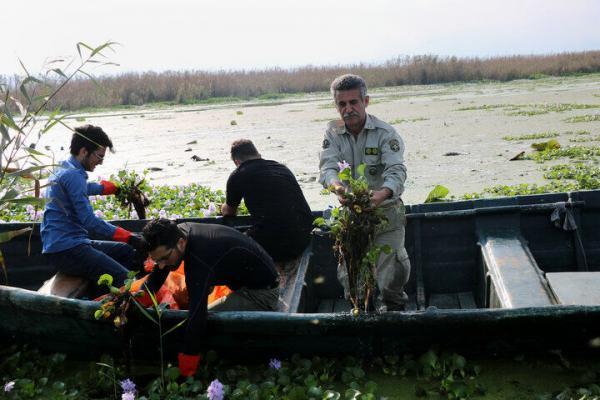 خبرنگاران طرحی هفت ساله برای احیای تالاب انزلی