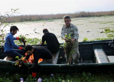 خبرنگاران طرحی هفت ساله برای احیای تالاب انزلی