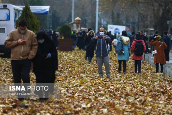 رفتارهای مطلوب برای رسیدن به سلامت اجتماعی کدامند؟